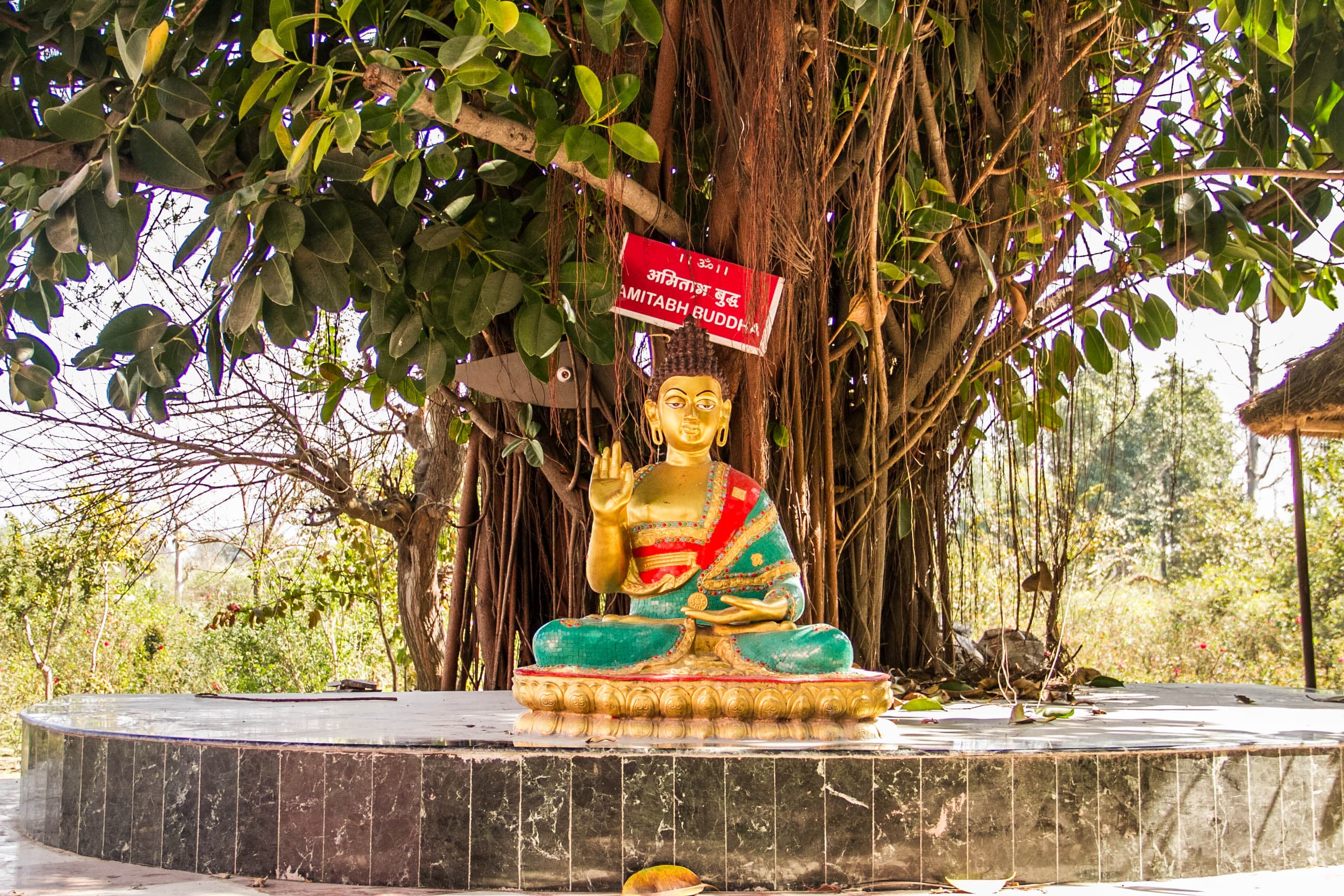 DASA MAHAVIDYA MAHA YAGAN photo 35