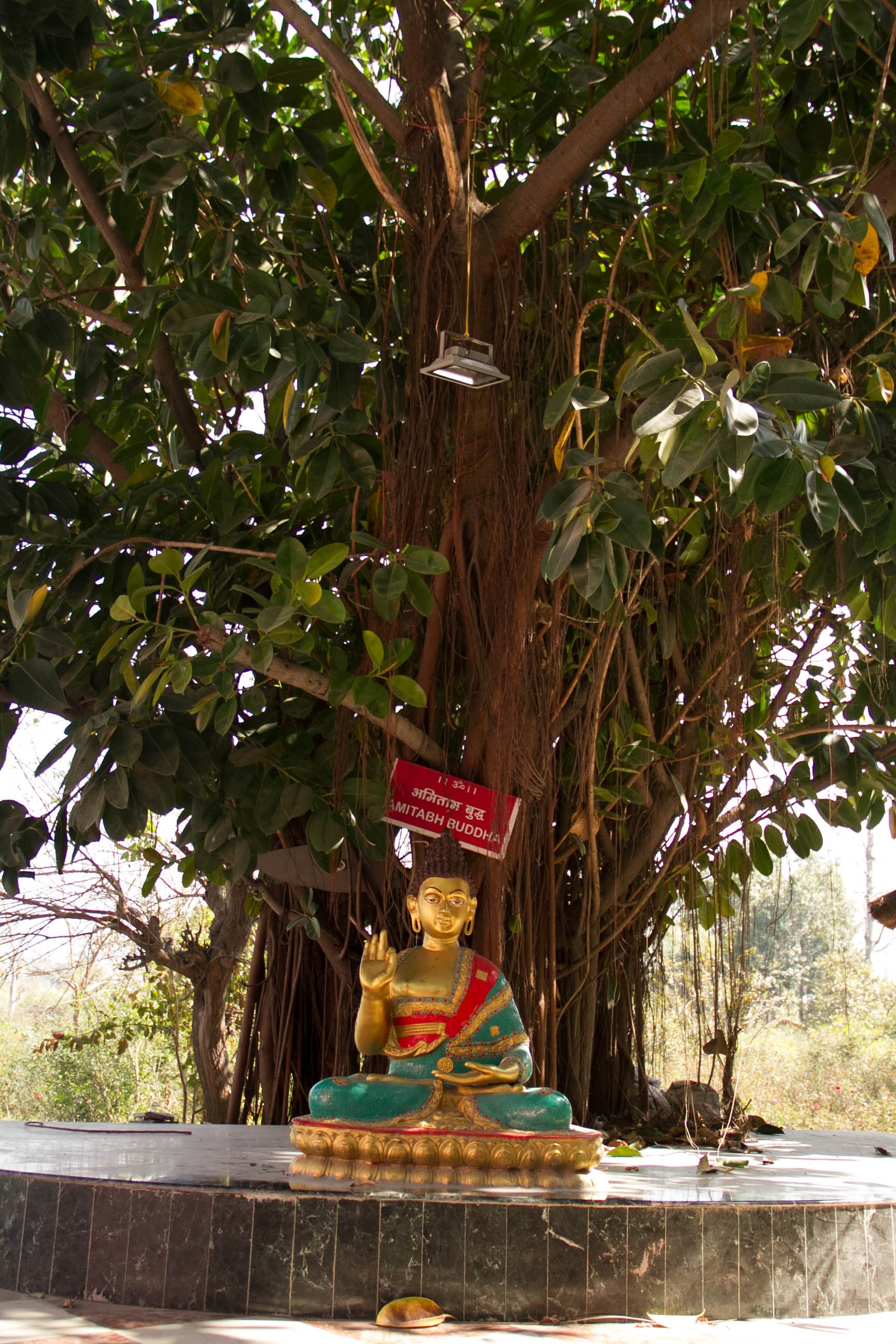 DASA MAHAVIDYA MAHA YAGAN photo 34