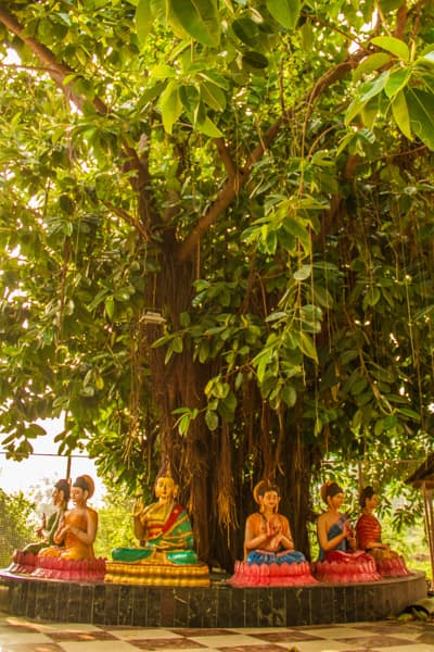 GURU PURNIMA 2017 photo 16
