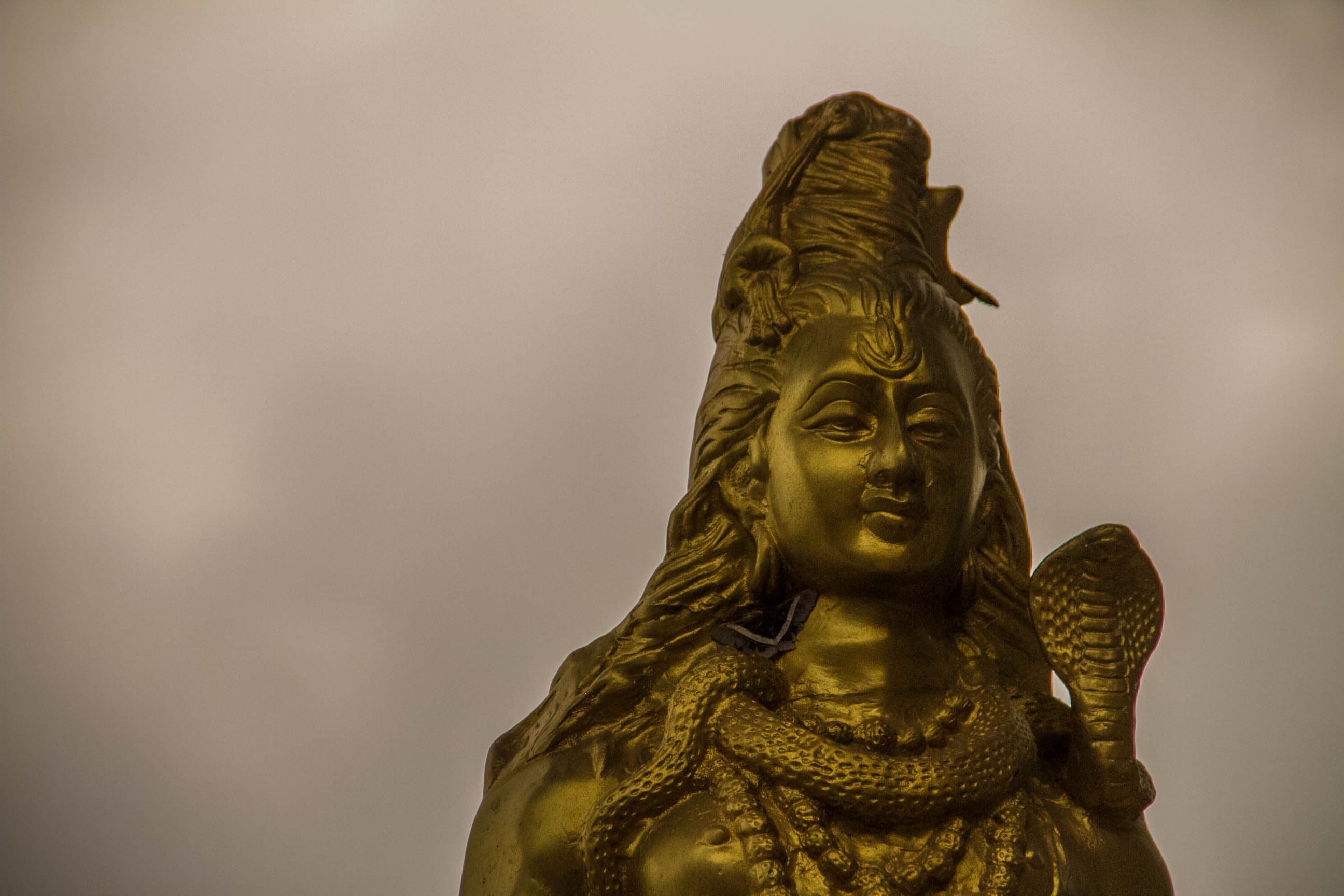 GURU PURNIMA 2015 photo 48