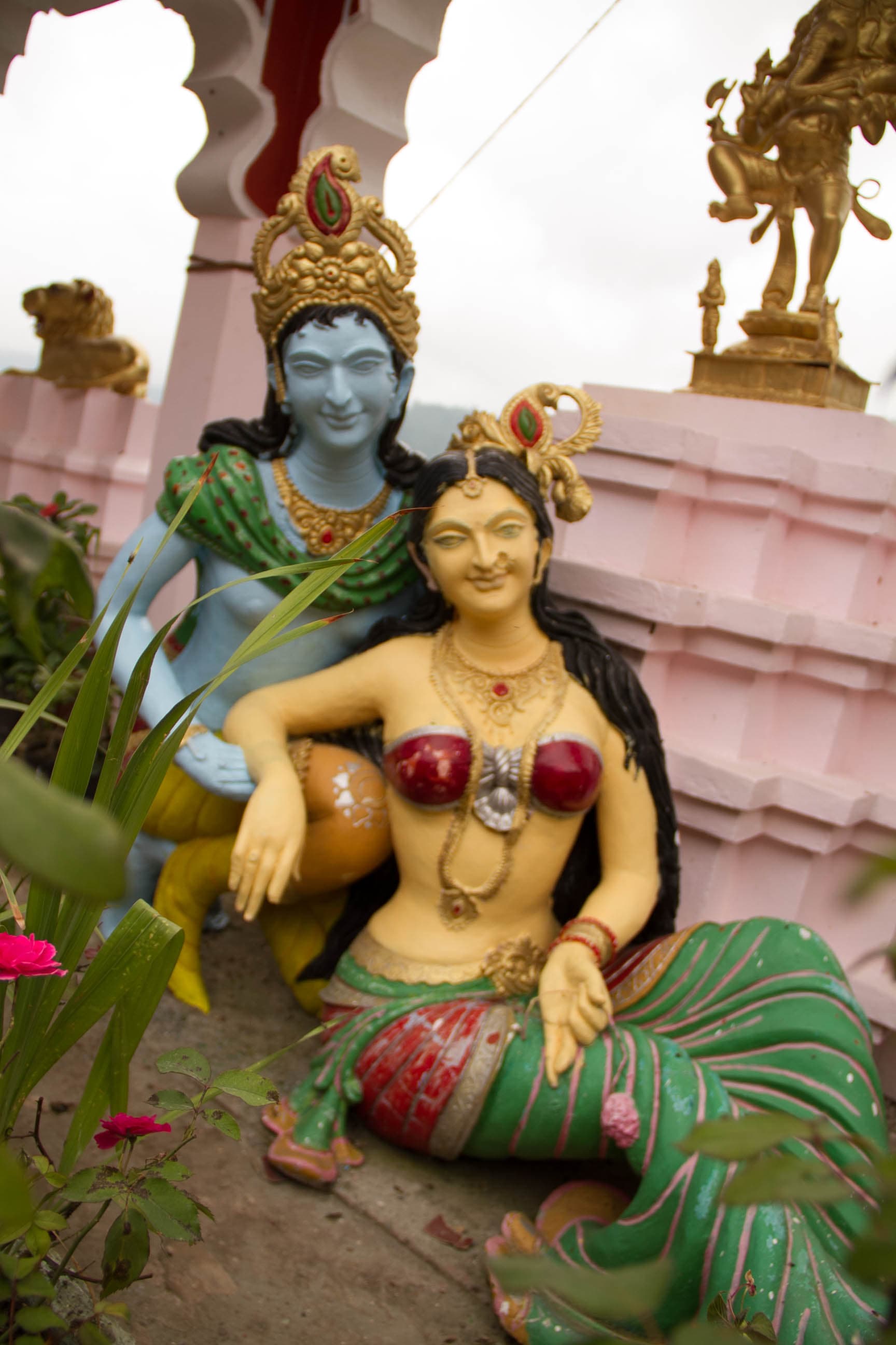 GURU PURNIMA 2015 photo 45