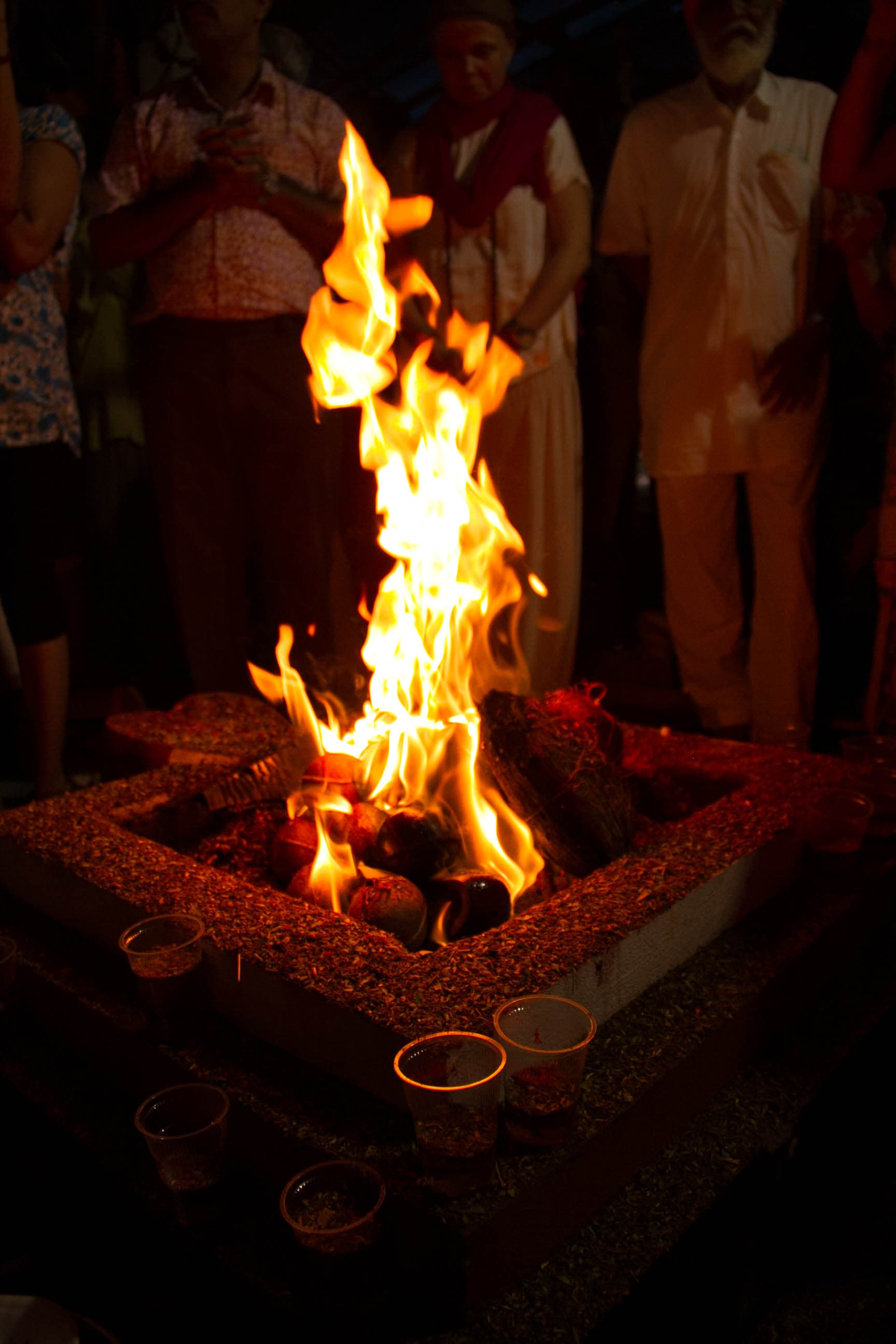 GURU PURNIMA 2015 photo 32