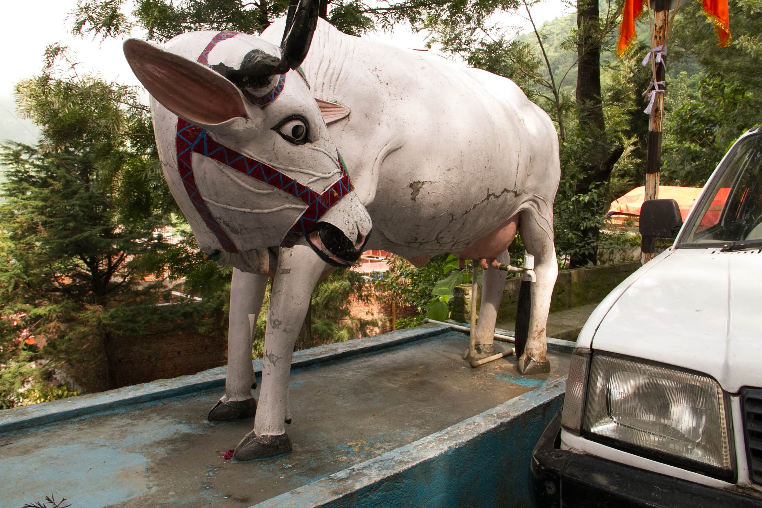 GURU PURNIMA 2015 photo 13