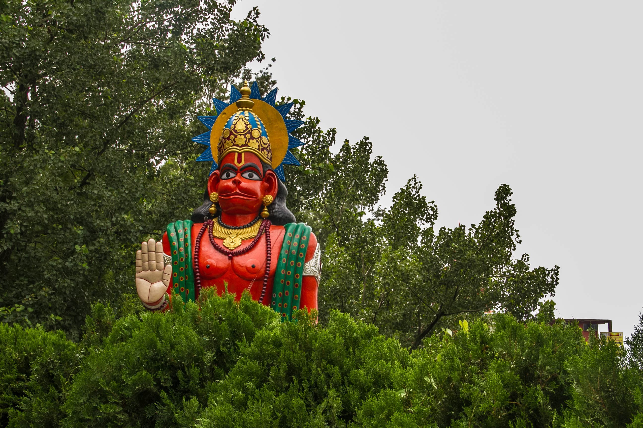 GURU PURNIMA 2015 photo 1
