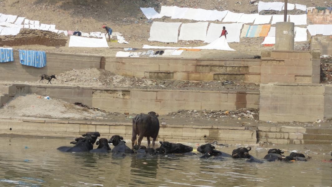 BANKS OF VARANASI photo 30
