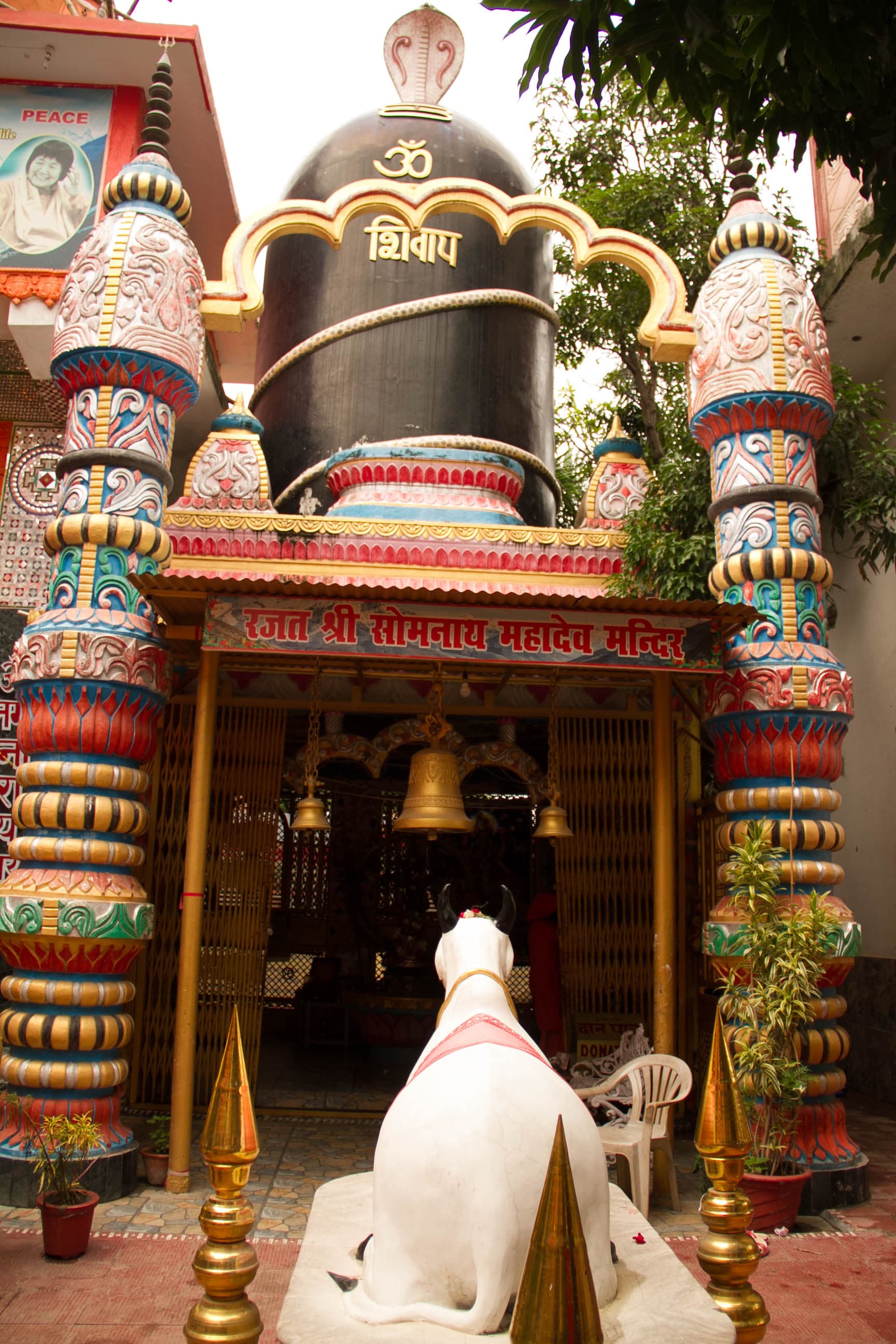 GURU PURNIMA 2019 photo 14